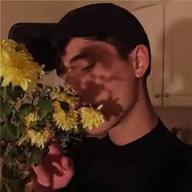 ノラ