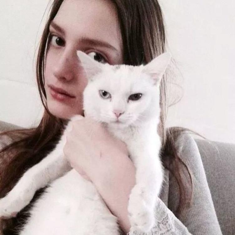 transfer999@Dashiell